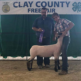 Junck Club Lamb Winners