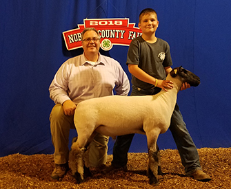 Junck Club Lambs Winners