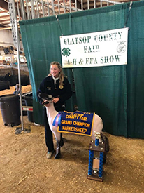 Junck Club Lambs Winners