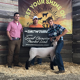 Junck Club Lambs Winners