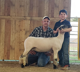 Junk Club Lambs Winners