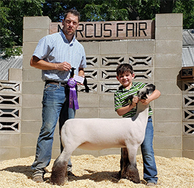 Junck Club Lambs Winners