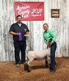 Junck Club Lambs Winners