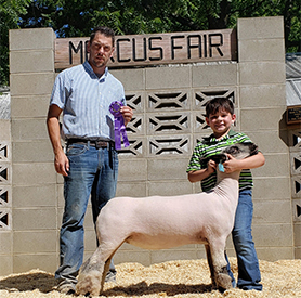 Junck Club Lambs Winners