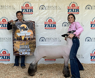 Junck Club Lambs Winners