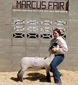 Junck Club Lambs Winners