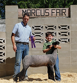 Junck Club Lambs Winners