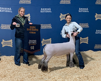 Junck Club Lambs Winners