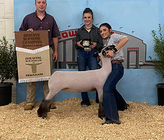 Junck Club Lambs Winners