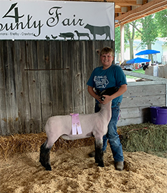 Junck Club Lambs Winners