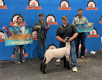 Junck Winners