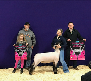 Junck Club Lambs Winners