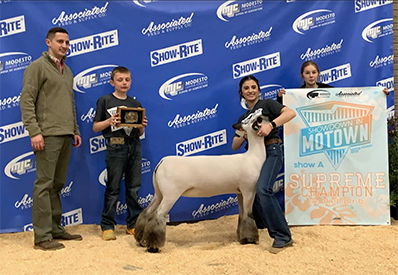 Junck Club Lambs Winners