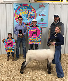 Junck Club Lambs Winners
