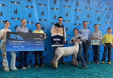 Junck Club Lambs Winners