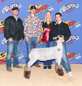 Grand Champion Breeding Ewe
Tonkawa Livestock Show (OK)
