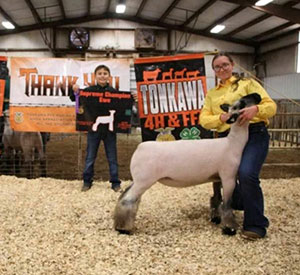 Grand Champion Breeding Ewe
Tonkawa Livestock Show (OK)